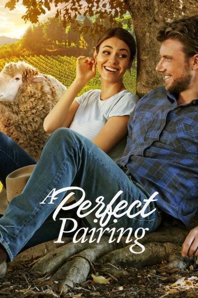 A Perfect Pairing (2022) poster - Allmovieland.com