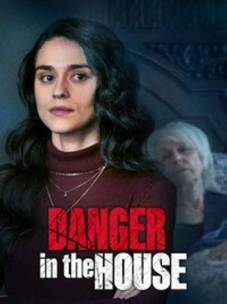 Danger in the House (2022) poster - Allmovieland.com