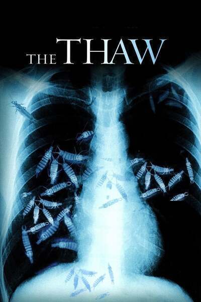 The Thaw (2009) poster - Allmovieland.com