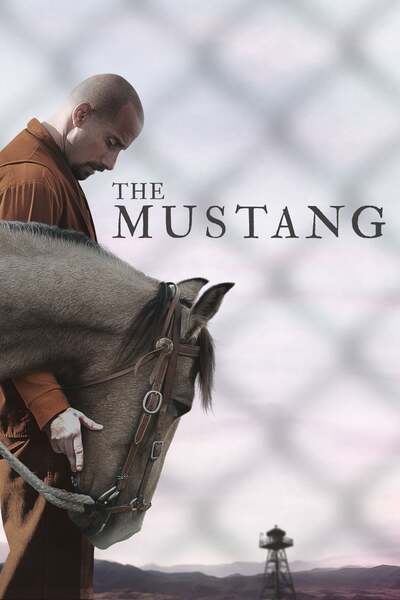 The Mustang (2019) poster - Allmovieland.com