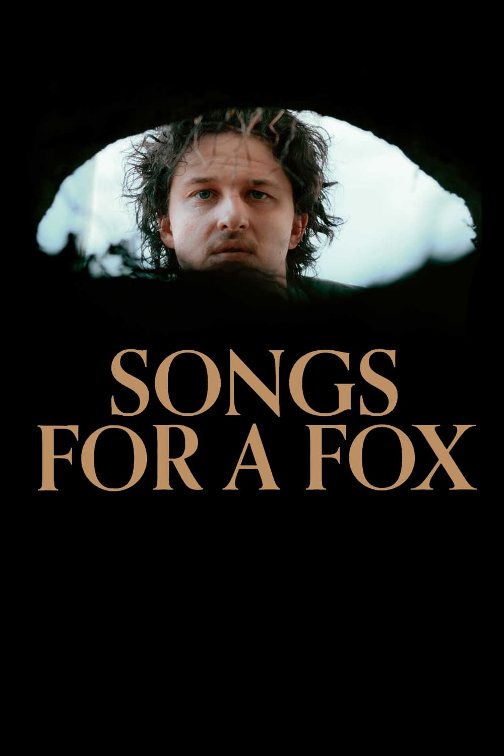 Songs for a Fox (2021) poster - Allmovieland.com