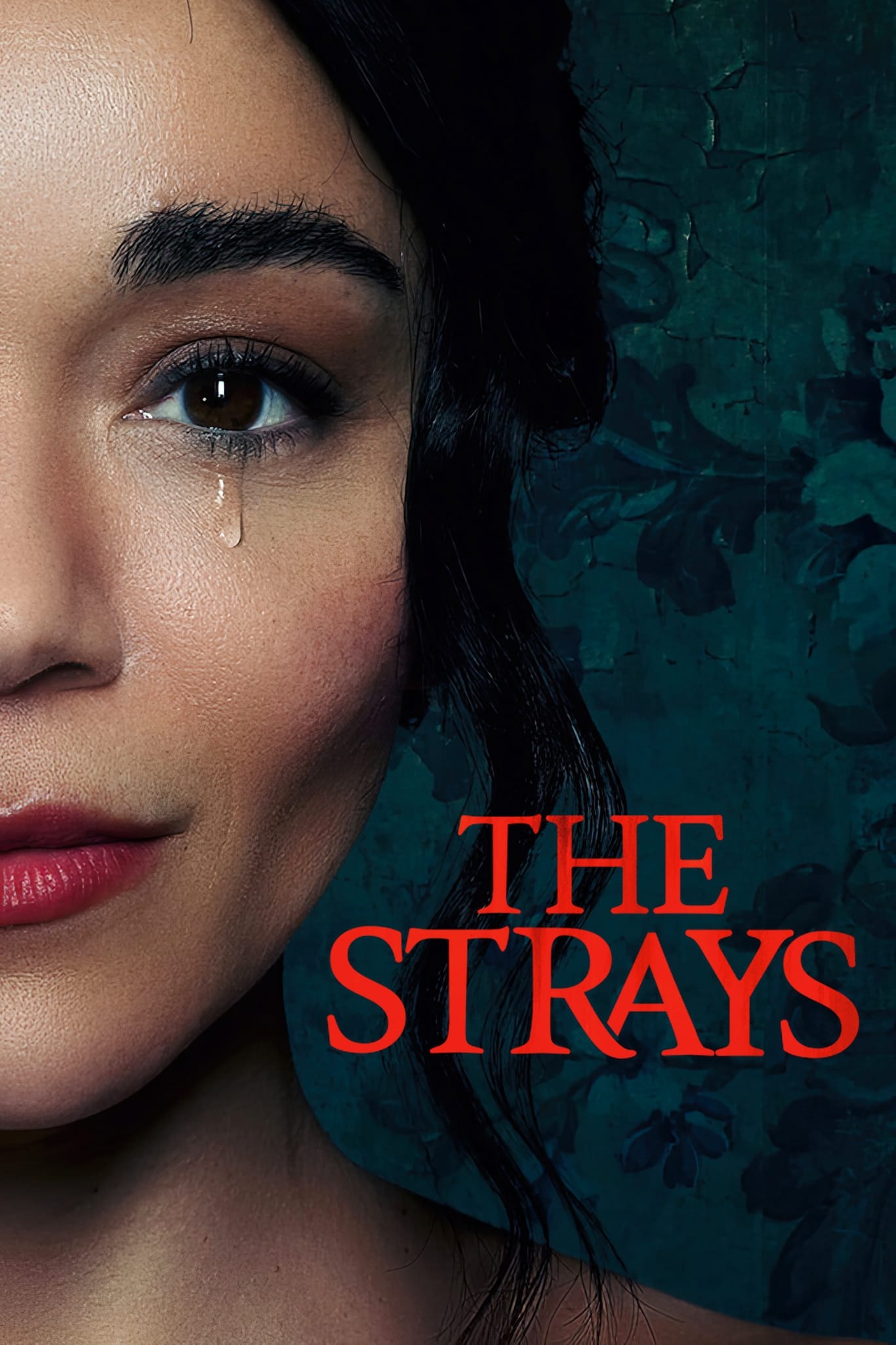 The Strays (2023) poster - Allmovieland.com