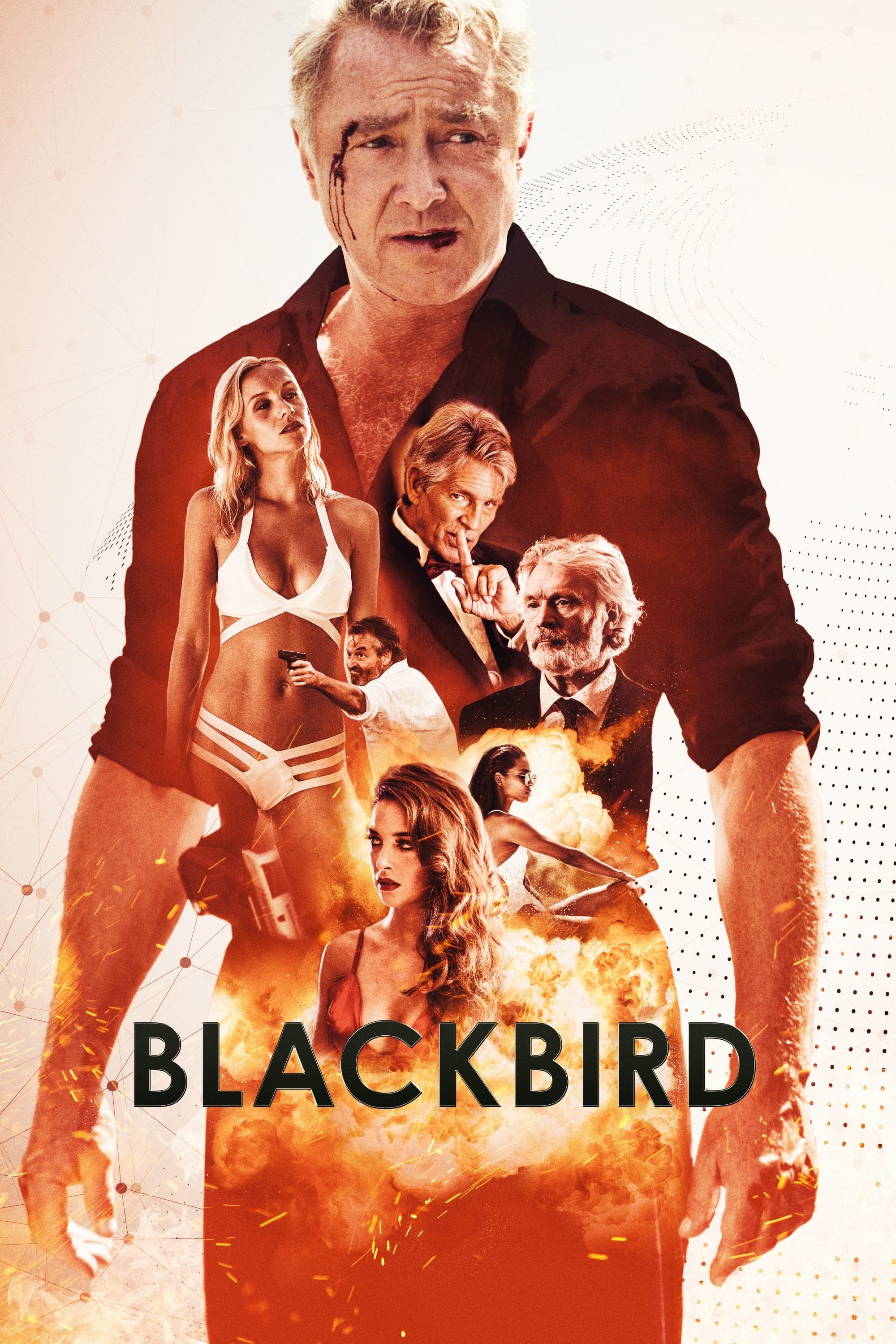 Blackbird (2022) poster - Allmovieland.com