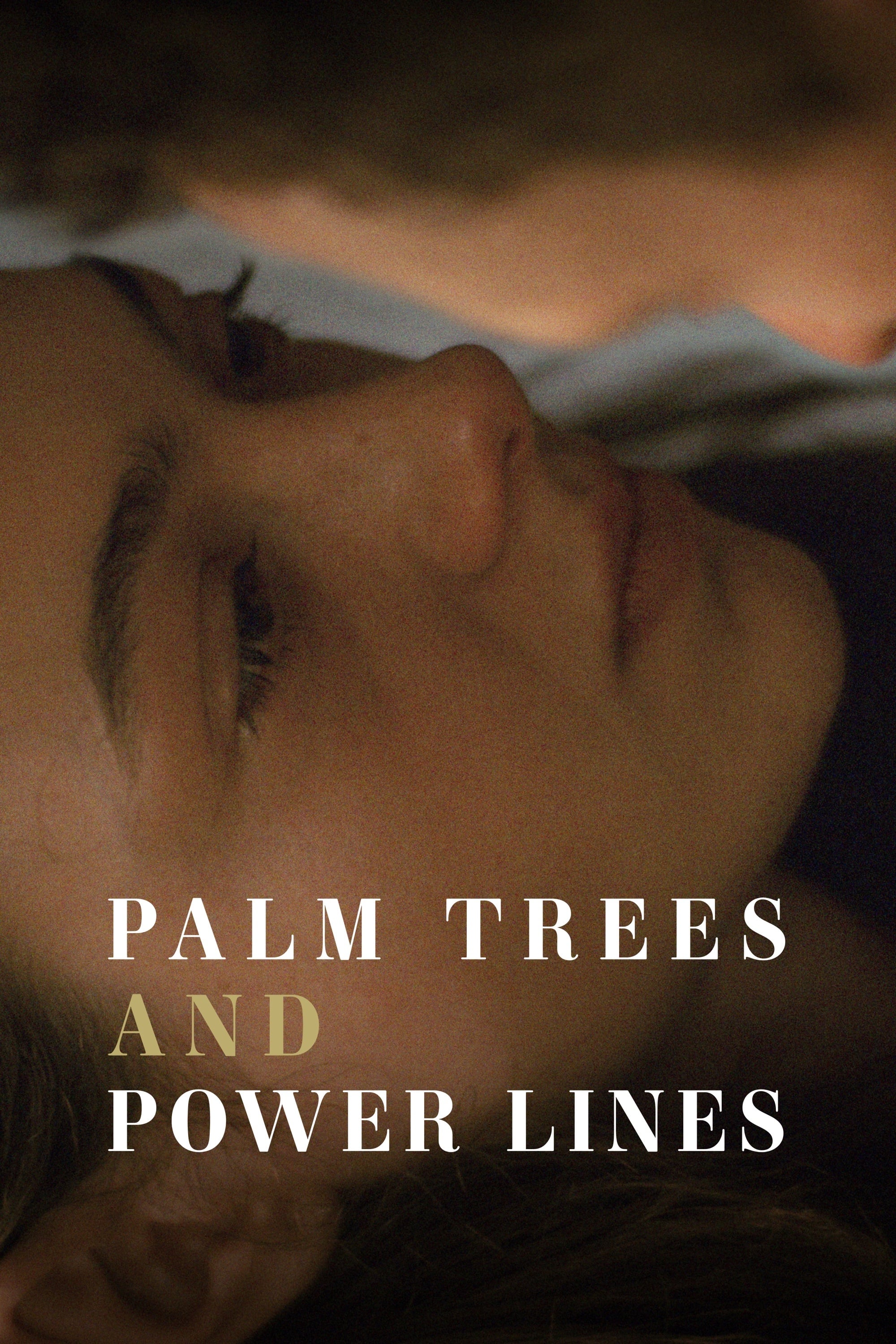 Palm Trees and Power Lines (2022) poster - Allmovieland.com