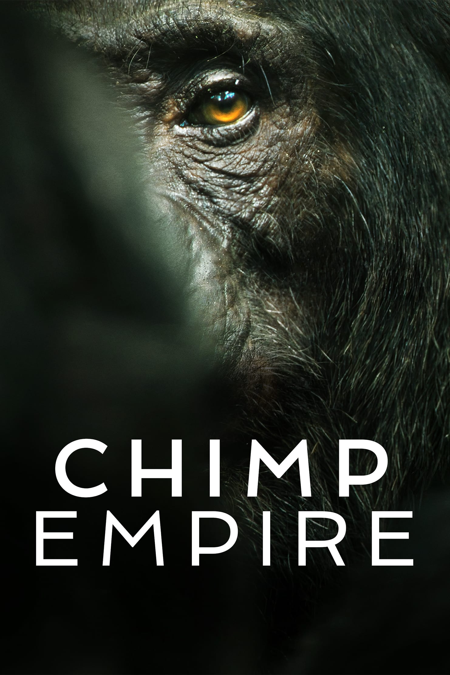 Chimp Empire (2023) poster - Allmovieland.com