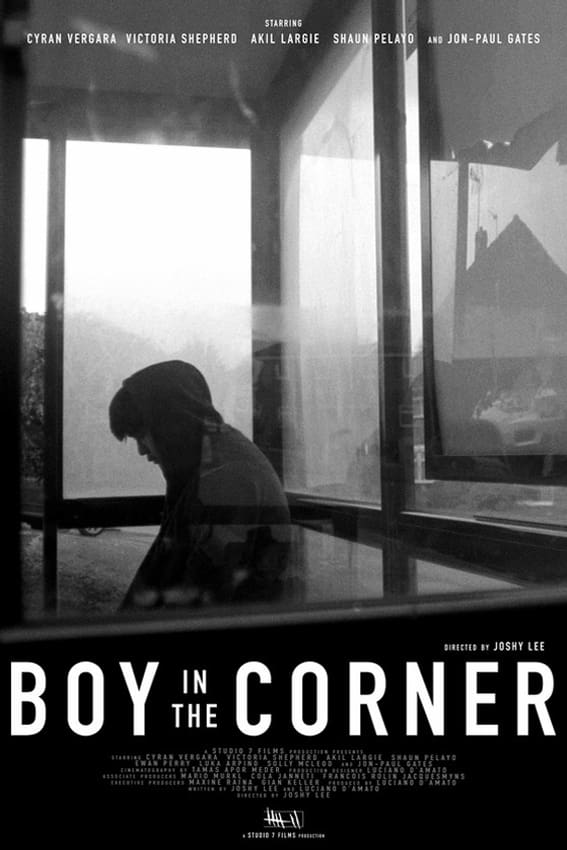 Boy in the Corner (2022) poster - Allmovieland.com