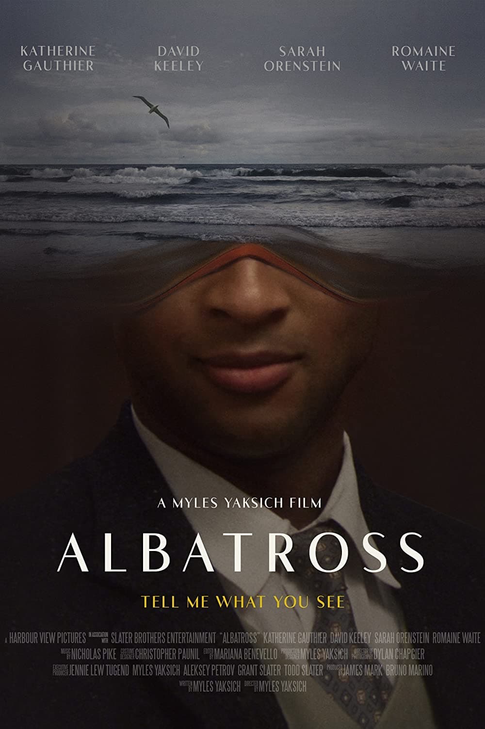 Albatross (2022) poster - Allmovieland.com