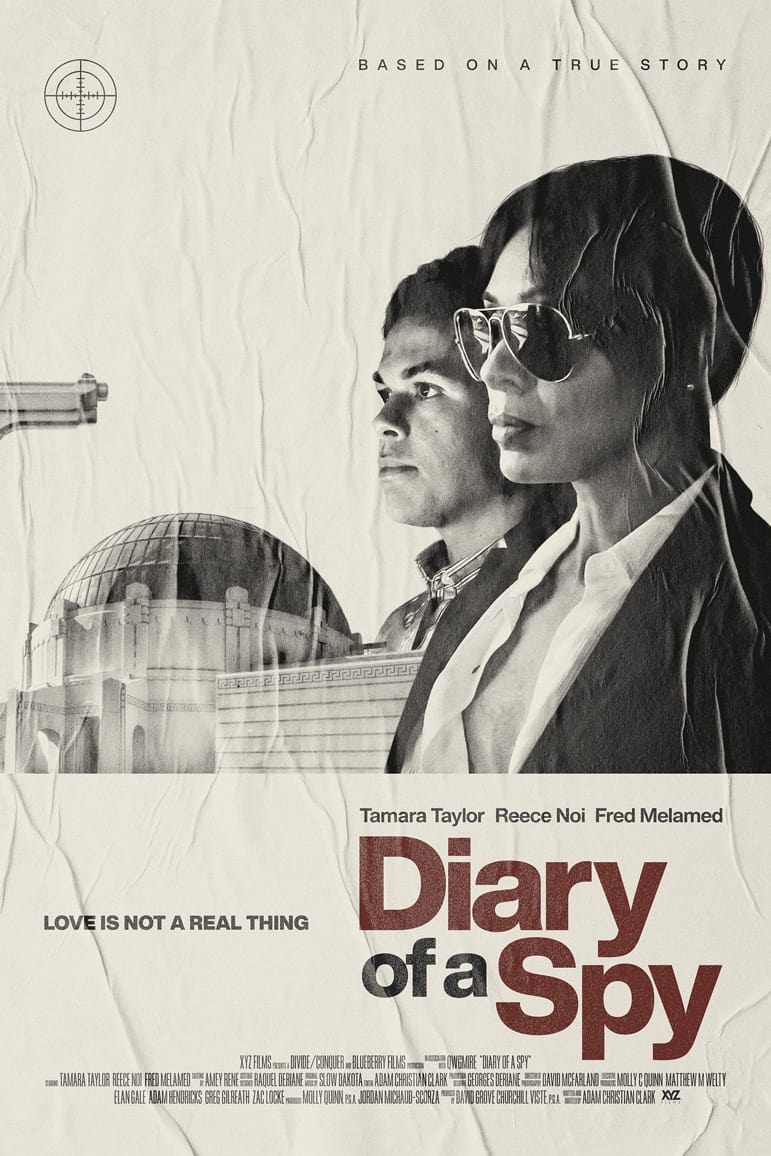 Diary of a Spy (2022) poster - Allmovieland.com