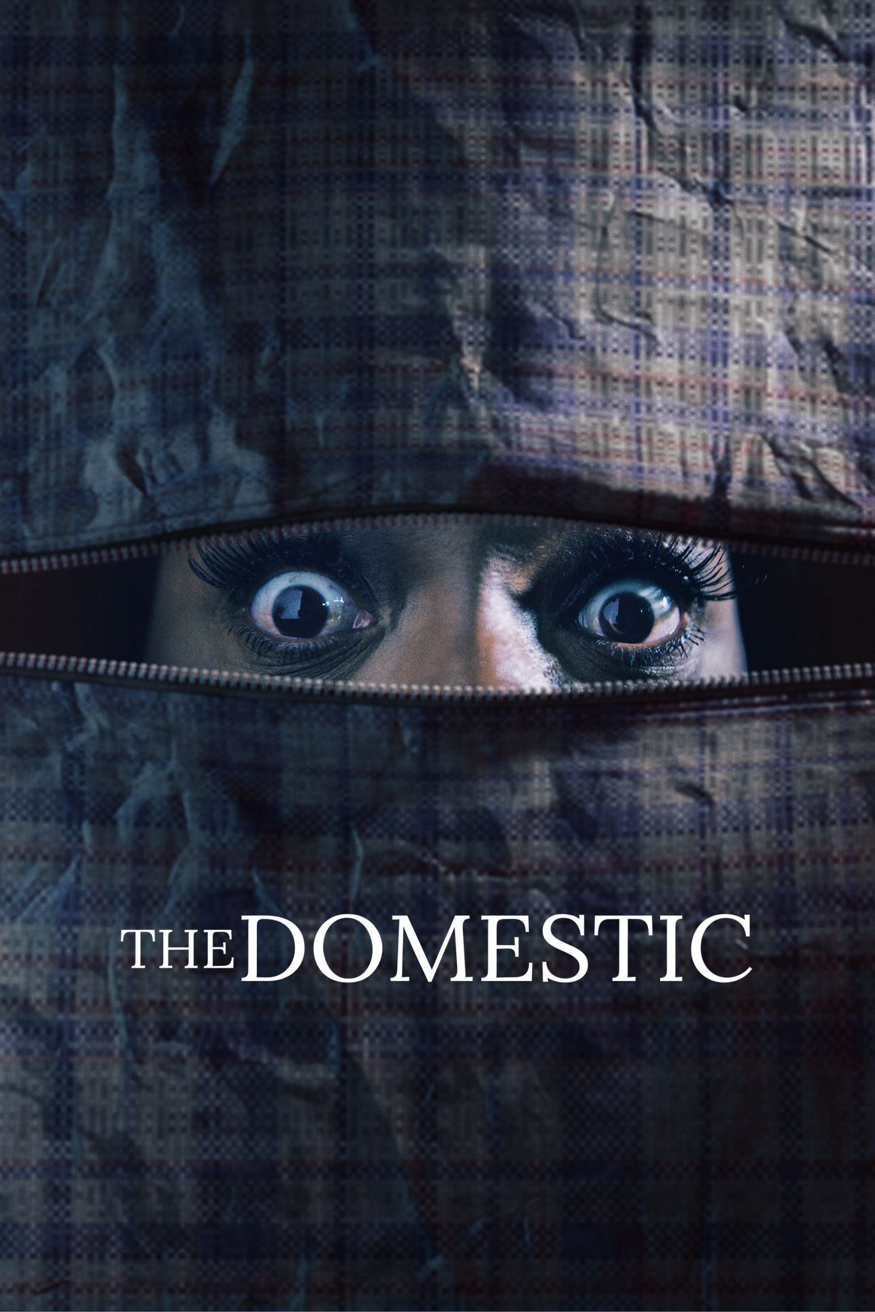 The Domestic (2022) poster - Allmovieland.com