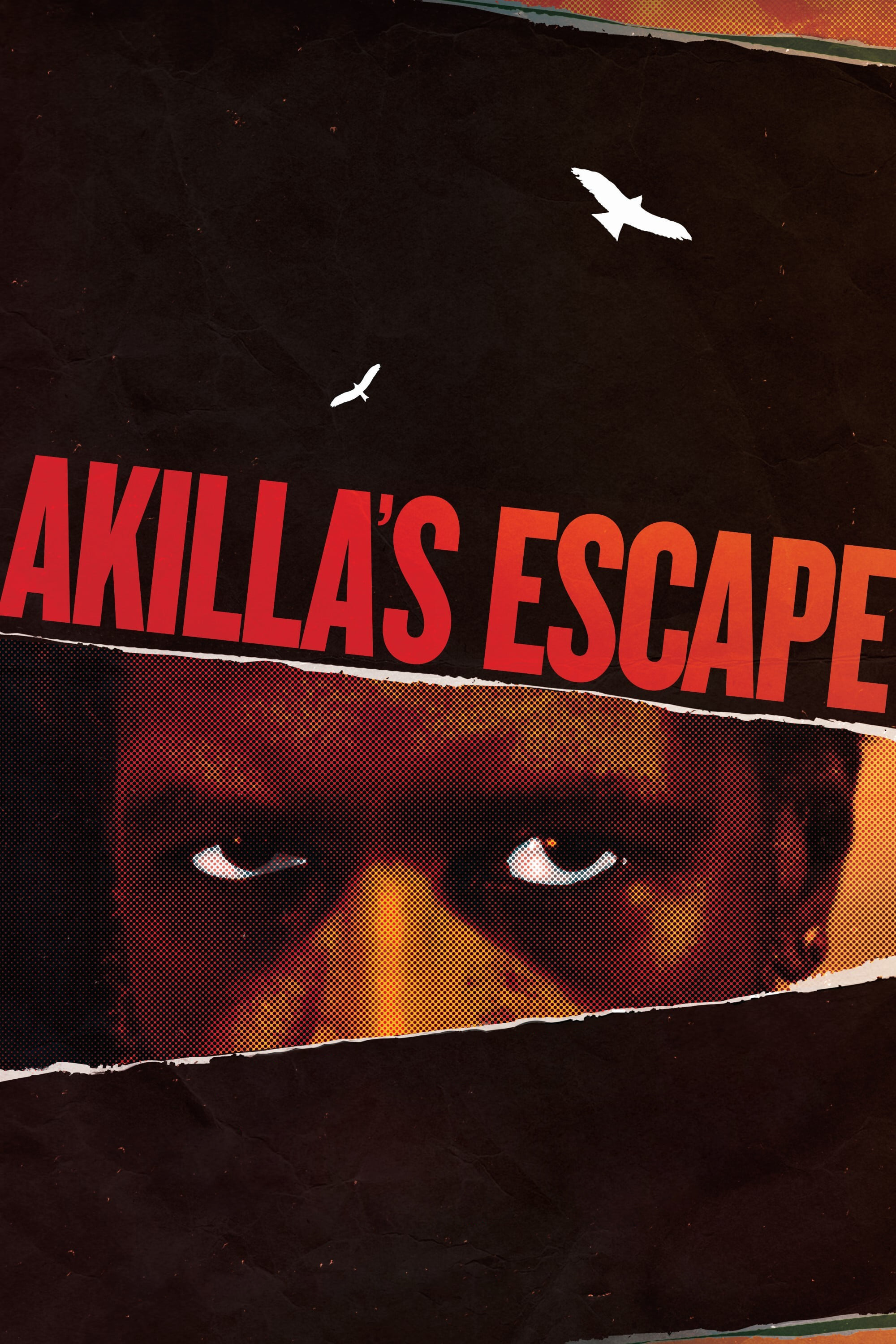 Akilla's Escape (2021) poster - Allmovieland.com