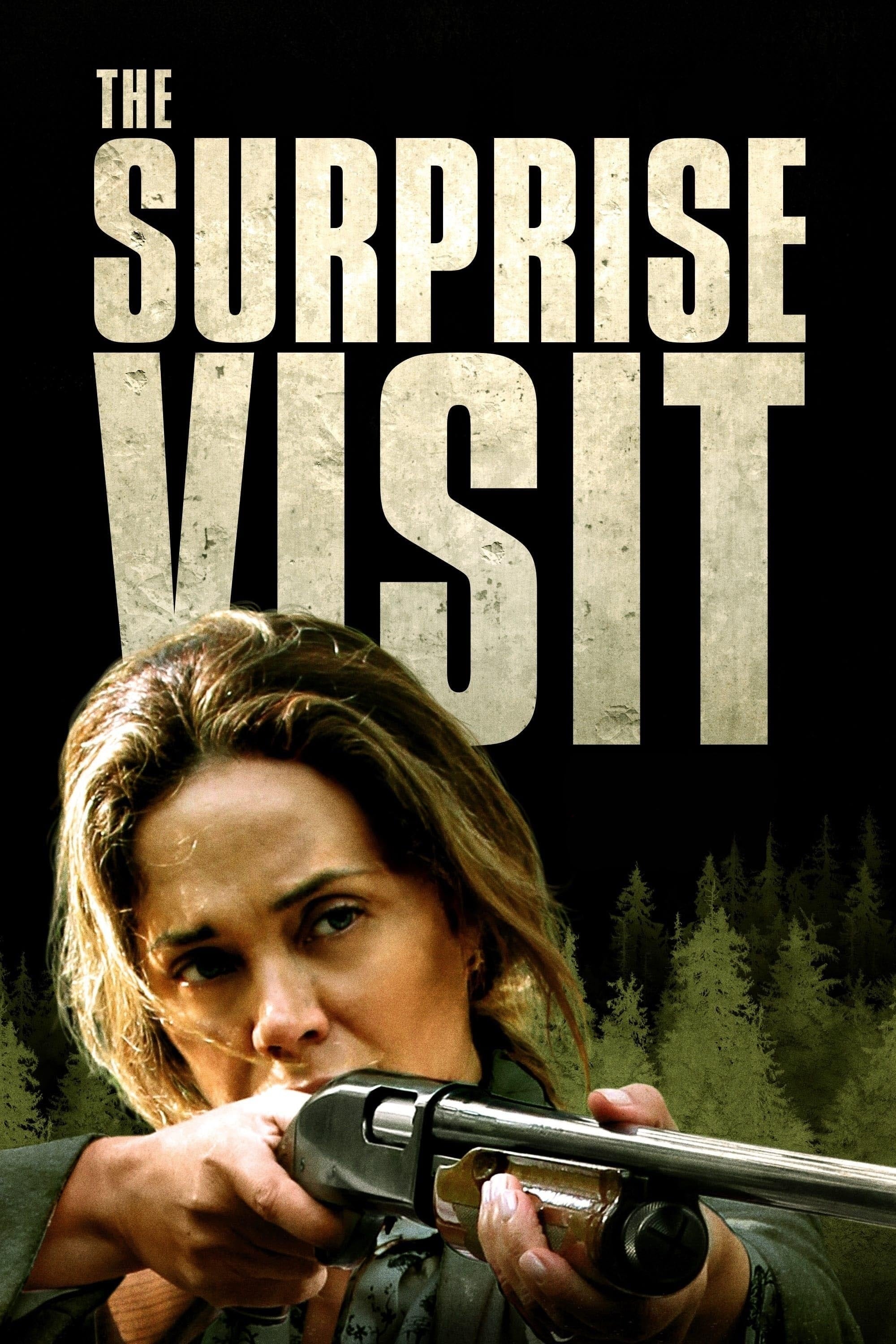 The Surprise Visit (2022) poster - Allmovieland.com