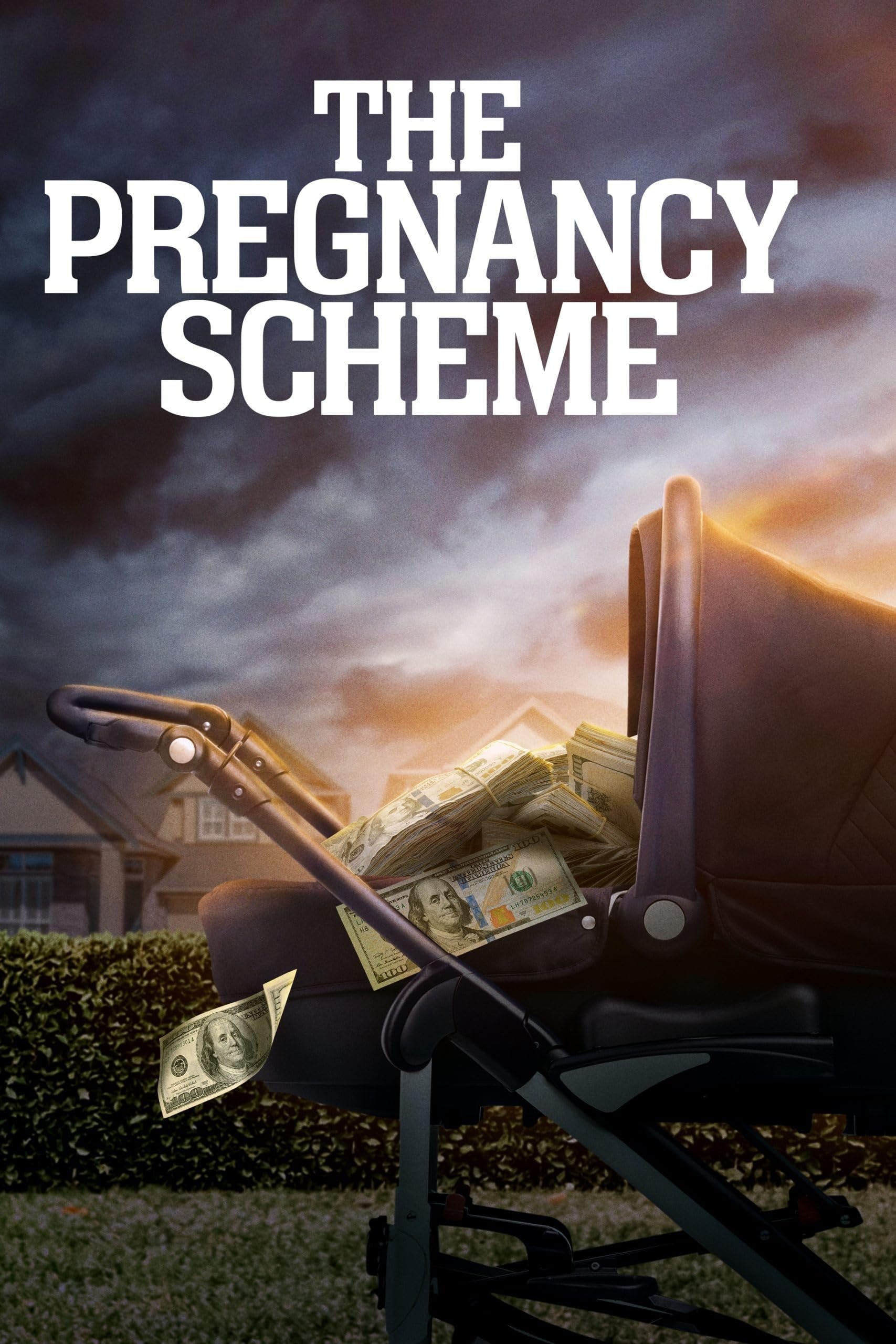 The Pregnancy Scheme (2023) poster - Allmovieland.com