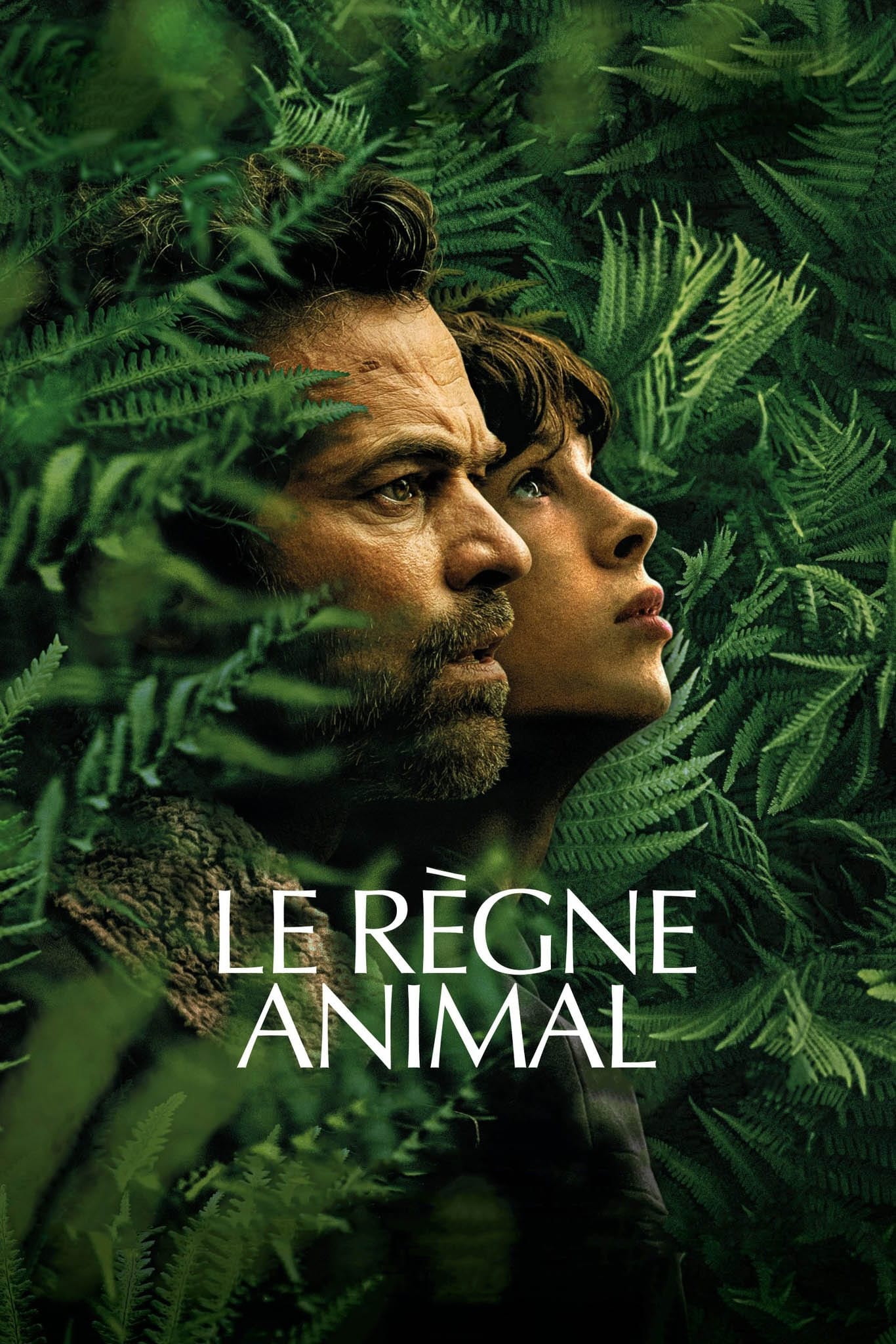 The Animal Kingdom (2023) poster - Allmovieland.com