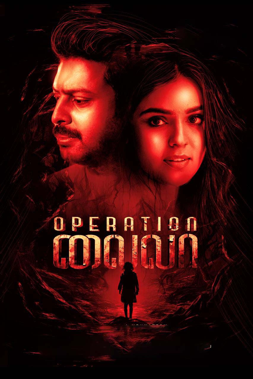 Operation Laila (2024) poster - Allmovieland.com