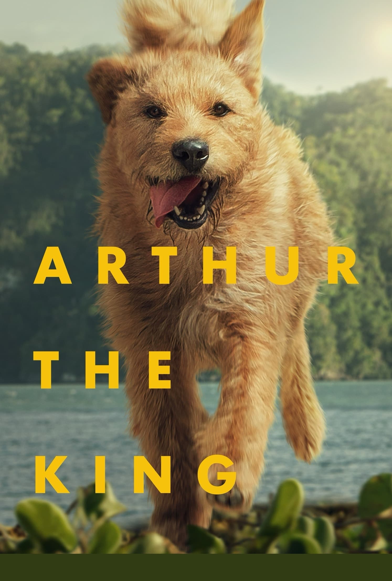 Arthur the King (2024) poster - Allmovieland.com