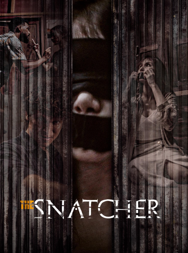 The Snatcher (2024) poster - Allmovieland.com