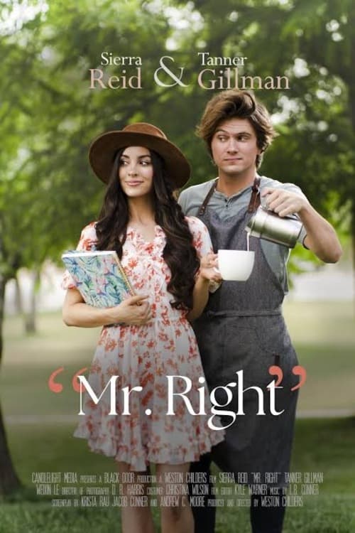 Mr. Right (2023) poster - Allmovieland.com