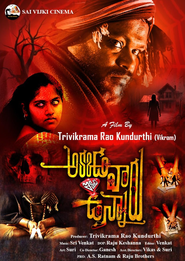 Akkada Varu Ikkada Unnaru (2024) poster - Allmovieland.com