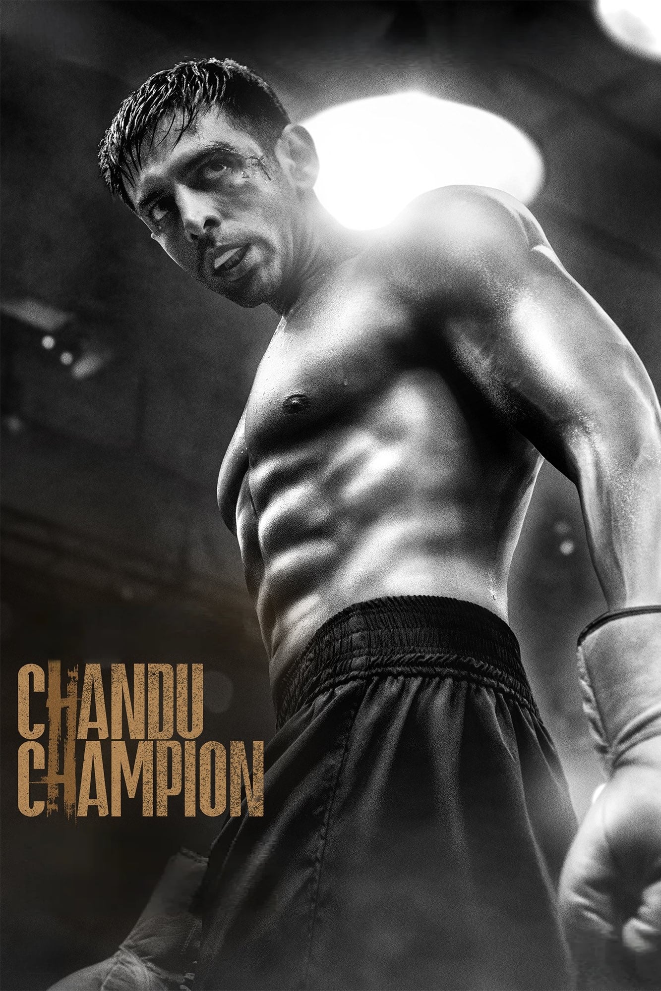 Chandu Champion (2024) poster - Allmovieland.com