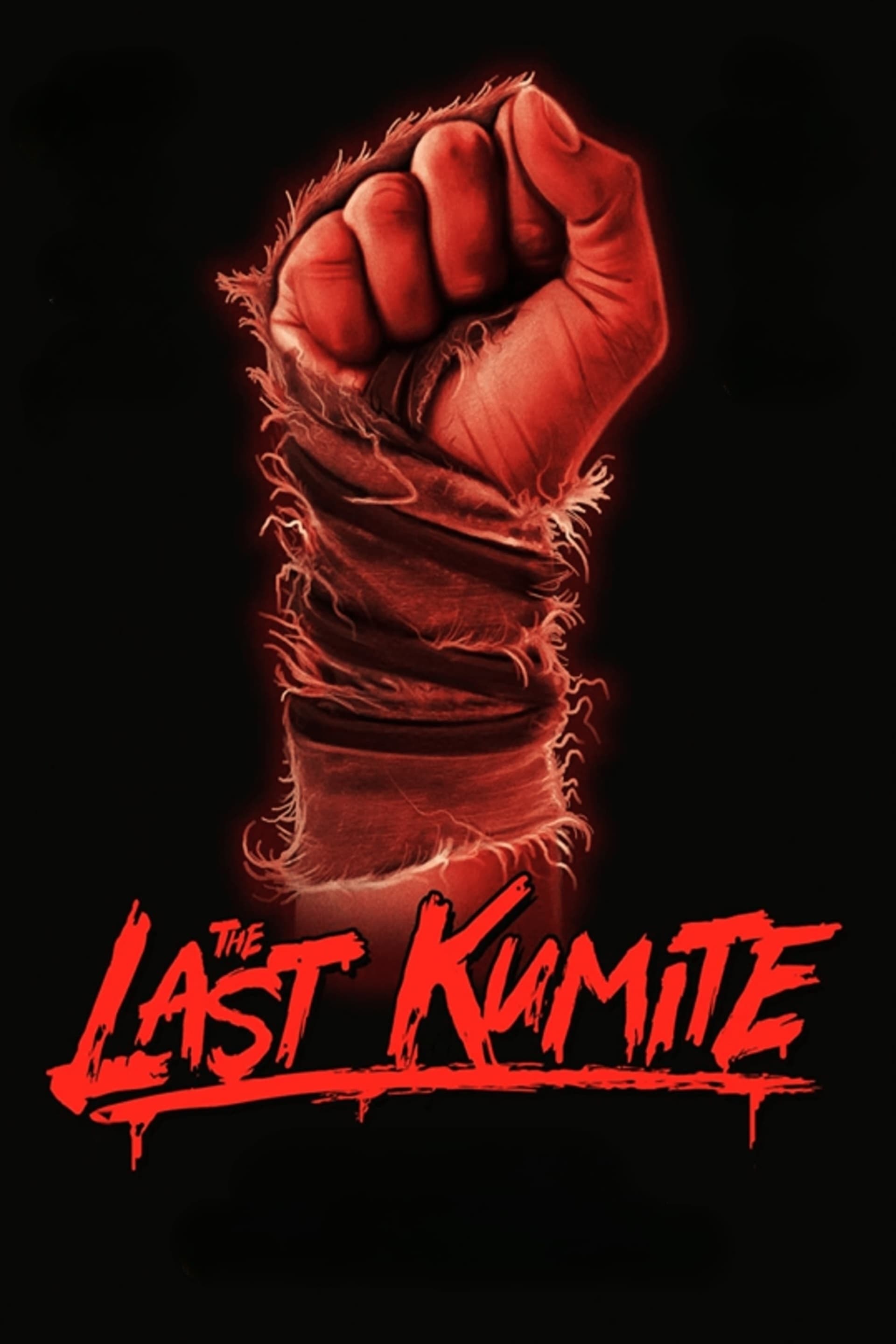 The Last Kumite (2024) poster - Allmovieland.com