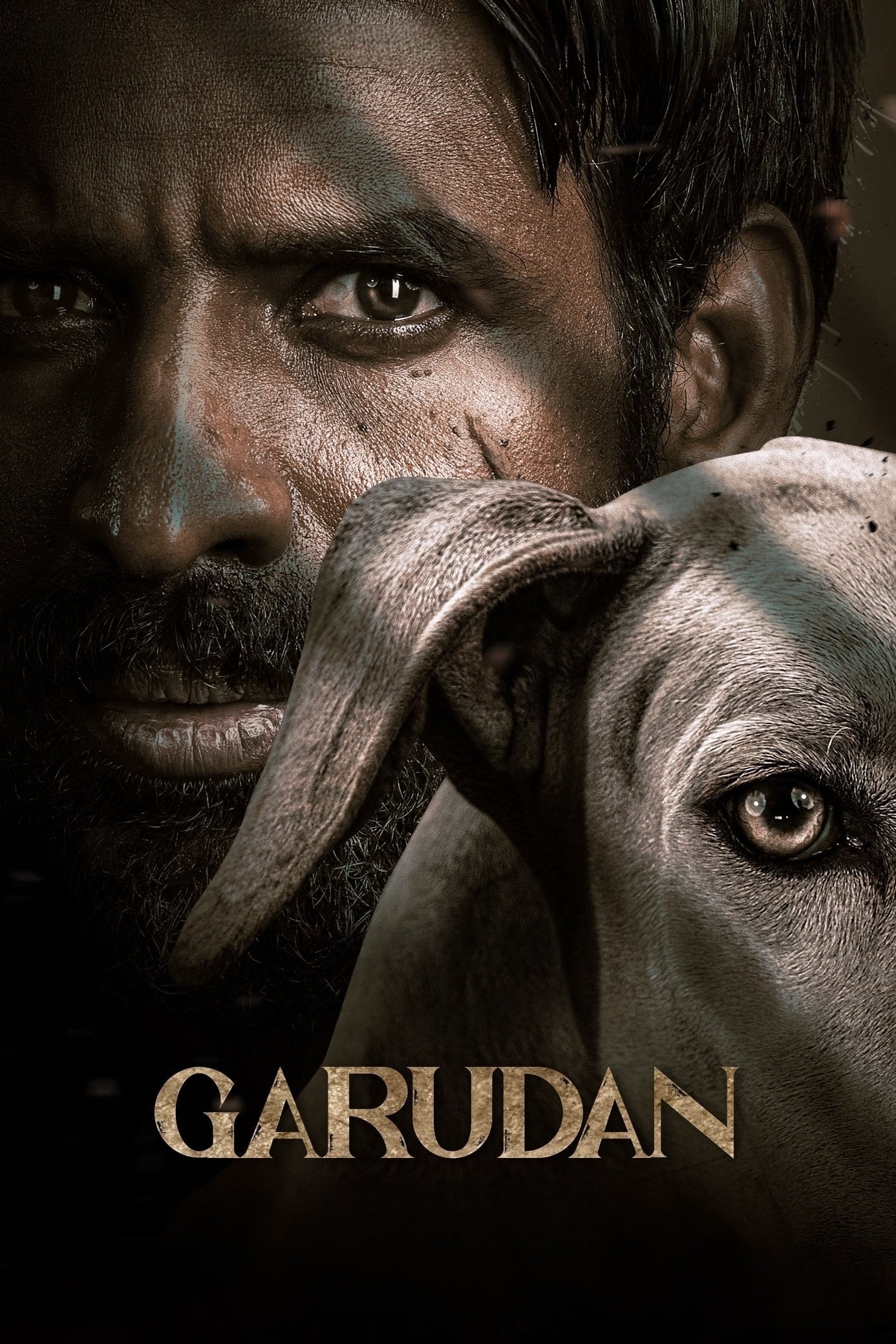 Garudan (2024) poster - Allmovieland.com