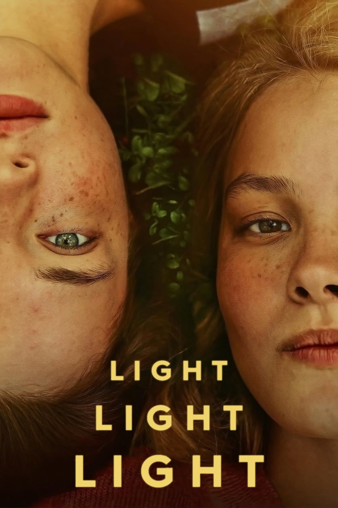 Light Light Light (2023) poster - Allmovieland.com