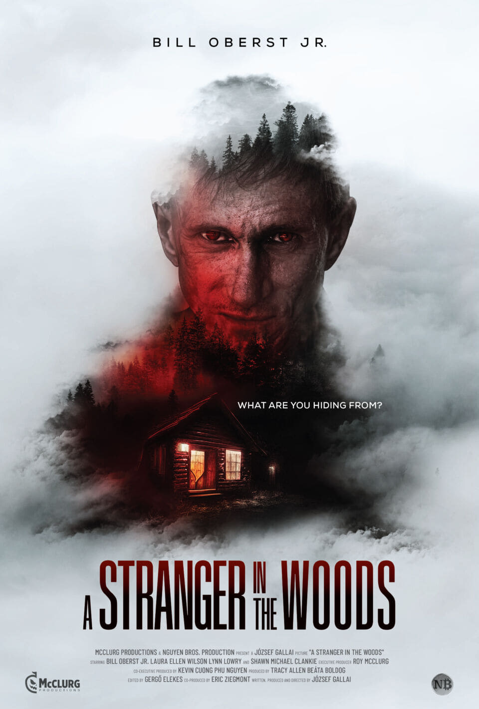 A Stranger in the Woods (2024) poster - Allmovieland.com