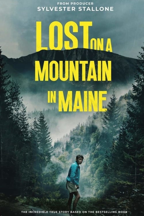 Lost on a Mountain in Maine (2024) poster - Allmovieland.com