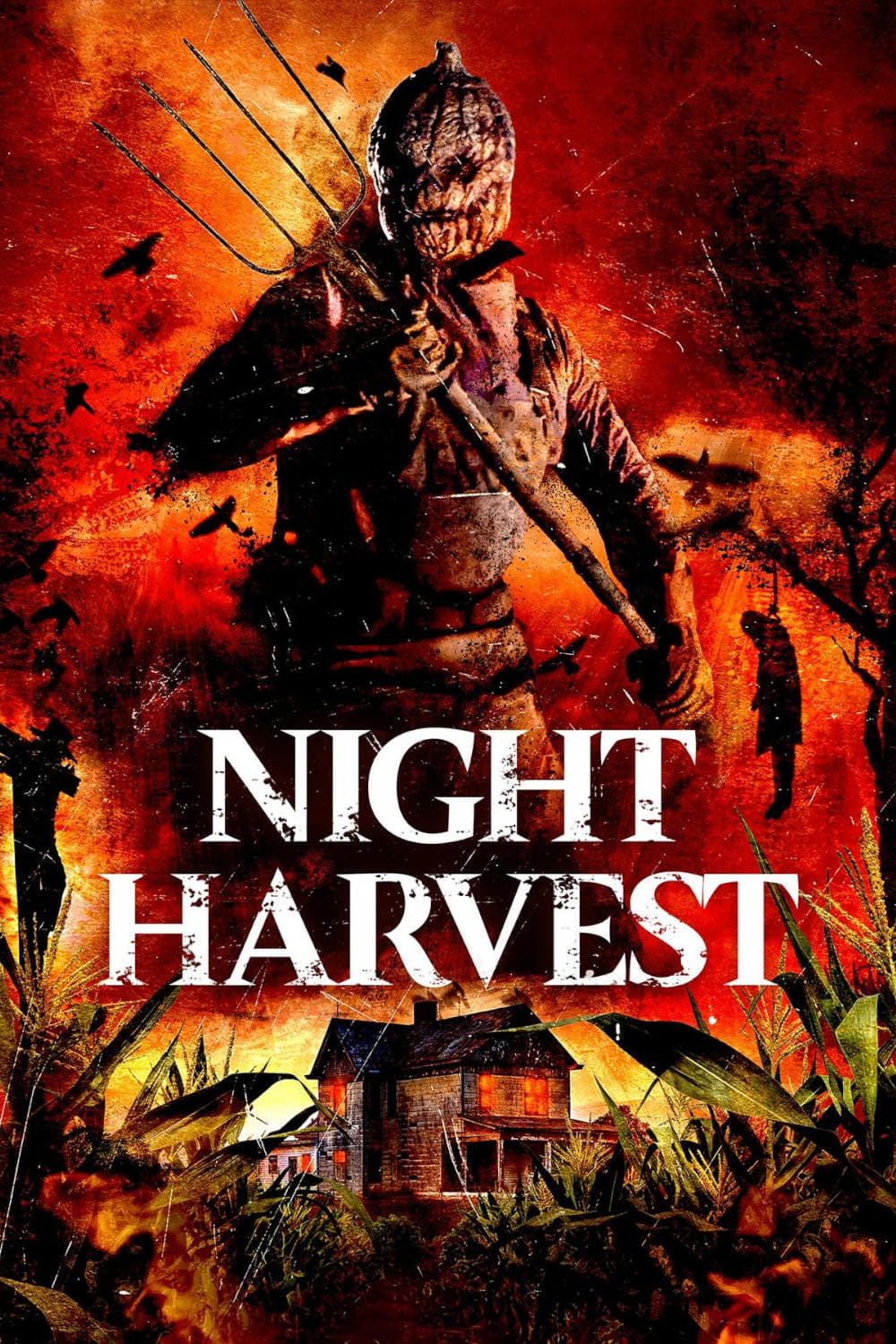 Night Harvest (2024) poster - Allmovieland.com